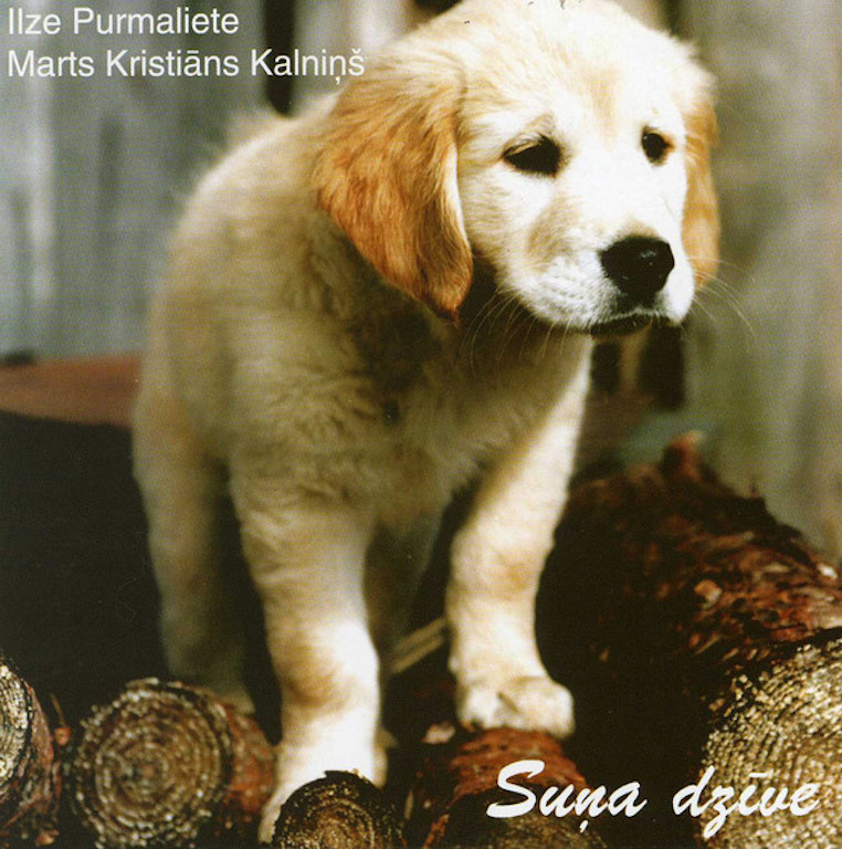 Suņa dzīve