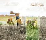Saucējas, tradicionālās dziedāšanas grupa